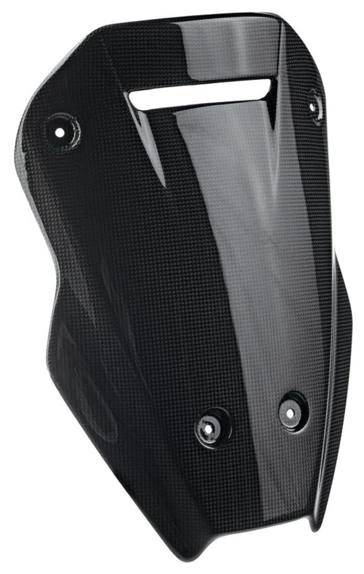 LighTech ライテック ドライカーボン ウインドスクリーン MULTISTRADA V4 DUCATI ドゥカティ スクリーン 外装