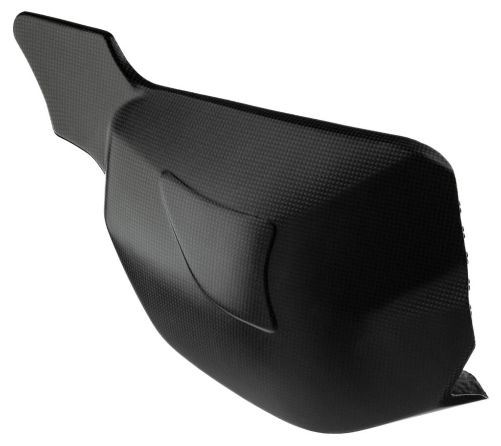 LighTech ライテック ドライカーボン スイングアームプロテクター STREETFIGHTER V4 S DUCATI ドゥカティ スイングアームカバー・プロテクター 外装