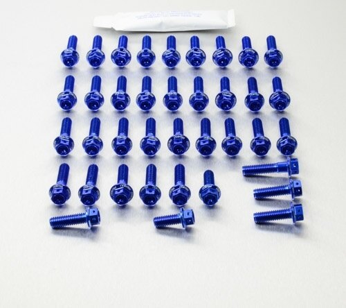 PRO BOLT プロボルト エンジンキット レーススペック Etched Street Triple 765 RS TRIUMPH トライアンフ その他エンジンパーツオプション・補修部品 エンジンパーツ エンジン