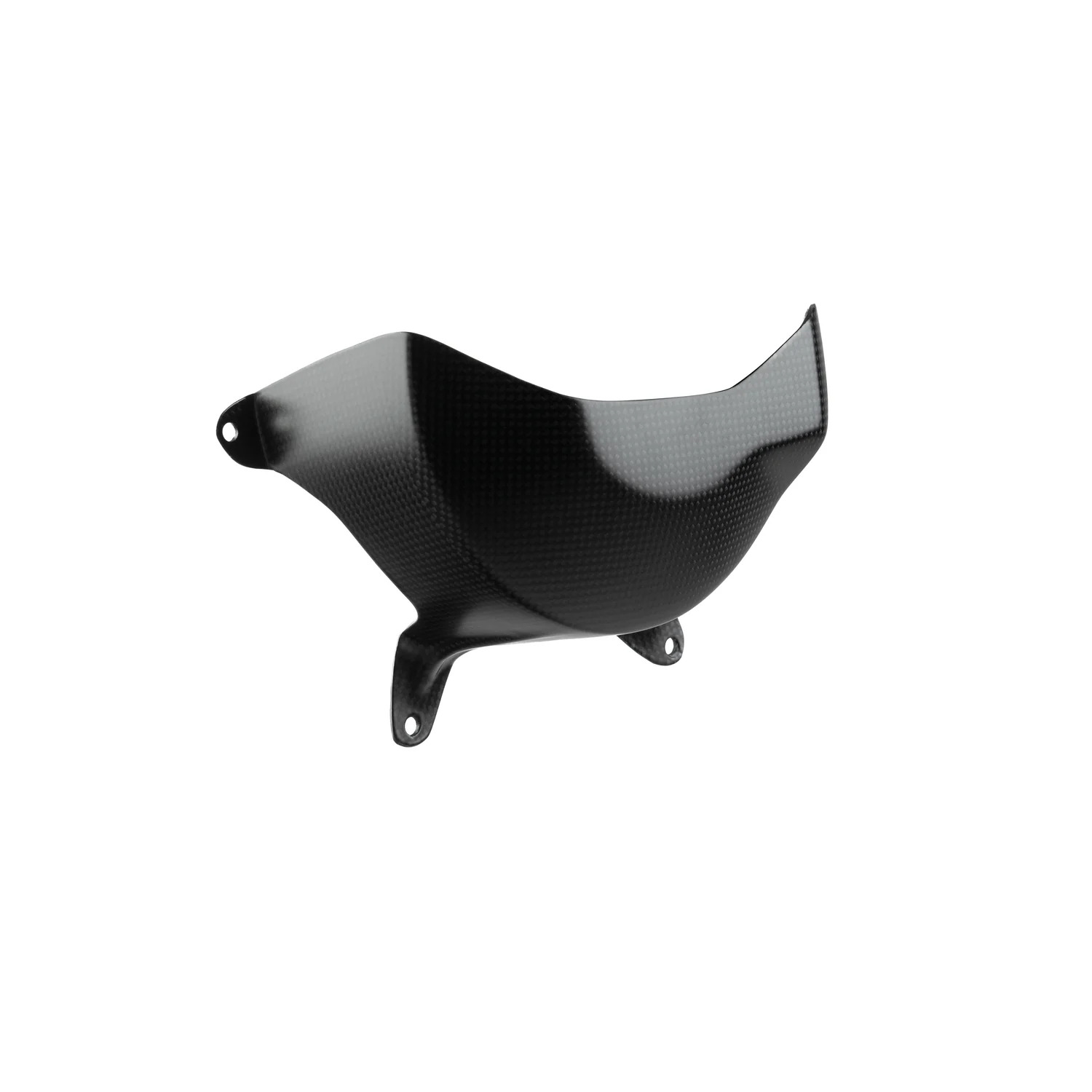 LighTech ライテック ドライカーボン タンクカバー MULTISTRADA V4 PIKES PEAK S STREETFIGHTER DUCATI ドゥカティ クラッチカバー エンジンパーツ エンジン