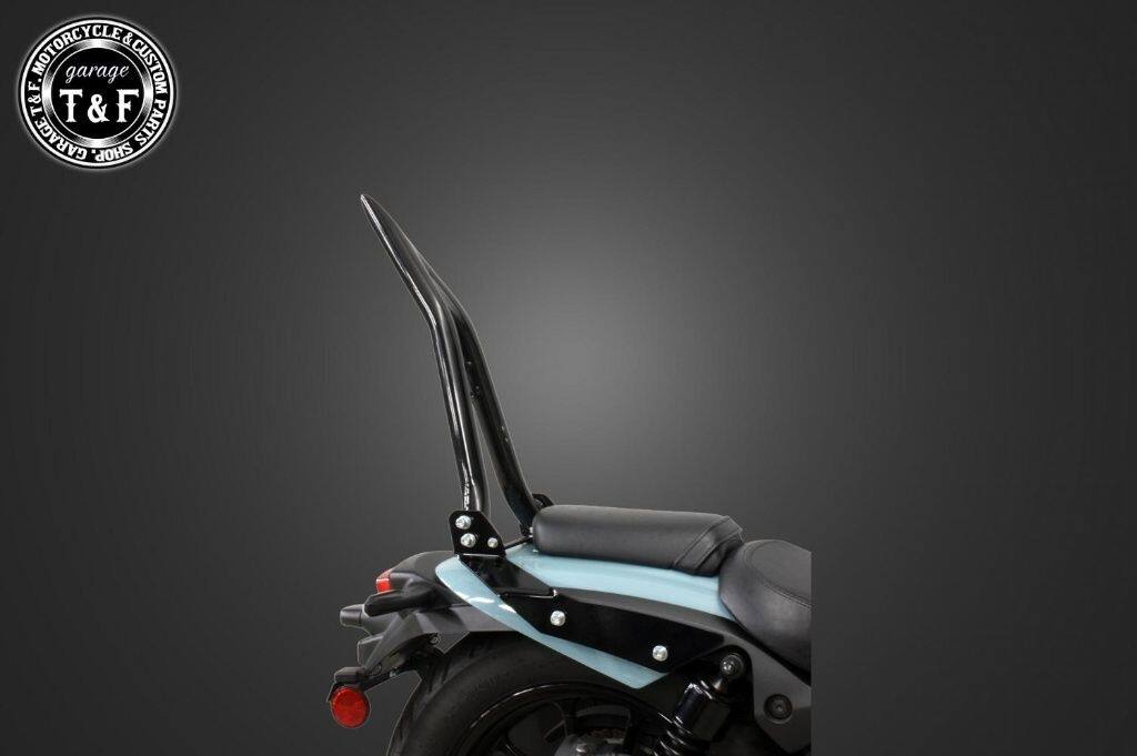 Garage T&F ガレージ 極太Φ38シーシーバー 純正フェンダー専用 エリミネーター400S...