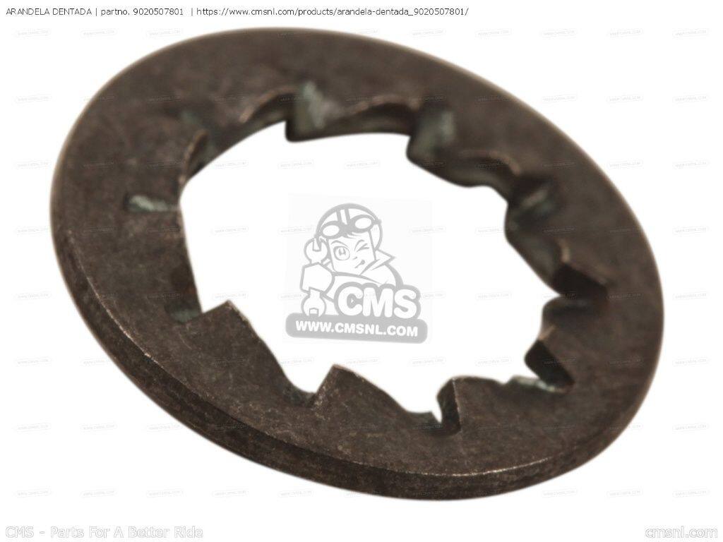 CMS シーエムエス ARANDELA DENTADA［9020507801］ DT50R DT50RSM TZR50 YAMAHA ヤマハ その他フロントフォークオプション・補修部品 サスペンション 足回り