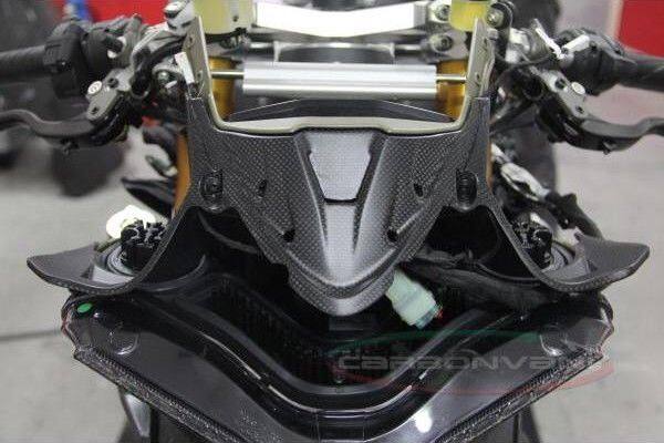 ■商品概要材質：カーボン■詳細説明ドゥカティ、MVアグスタ・アプリリアのみのカーボンパーツ製作する、イタリアのカーボンパーツ専門メーカー CARBONVANI。・各車種専用の豊富なラインナップ・100％ドライカーボンの高品質■注意点※CARBONVANI製品は、ハンドメイドのため取り付け部分を削ったり、取り付け穴の調整、穴あけ加工等が必要な場合がございます。※取り付けの際、外した純正部品の一部を流用する場合がございます。※加工を前提とした商品であることをご了承の上、お買い求めください。※装着画像はイメージとなり実際の製品とは異なる場合がございます。※画像には他の商品が含まれている場合があります。※メーカー都合により商品の仕様変更がある場合がございます。ご了承ください。　※受注後のキャンセル、返品、都合交換はできません。予めご了承ください。■適合車種PANIGALE 899&ensp;PANIGALE 899