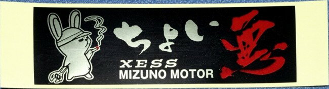 MIZUNO MOTOR ミズノモーター 【ゼス】 