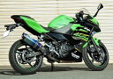 BEET ビート NASSERT(ナサート) Evolution TypeII スリップオンマフラー Ninja400 Z400 KAWASAKI カワサキ KAWASAKI カワサキ KAWASAKI カワサキ KAWASAKI カワサキ サイレンサータイプ：メタルブラック