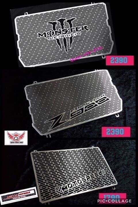 ARASHI アラシ Radiator Guard Monter Series Z900