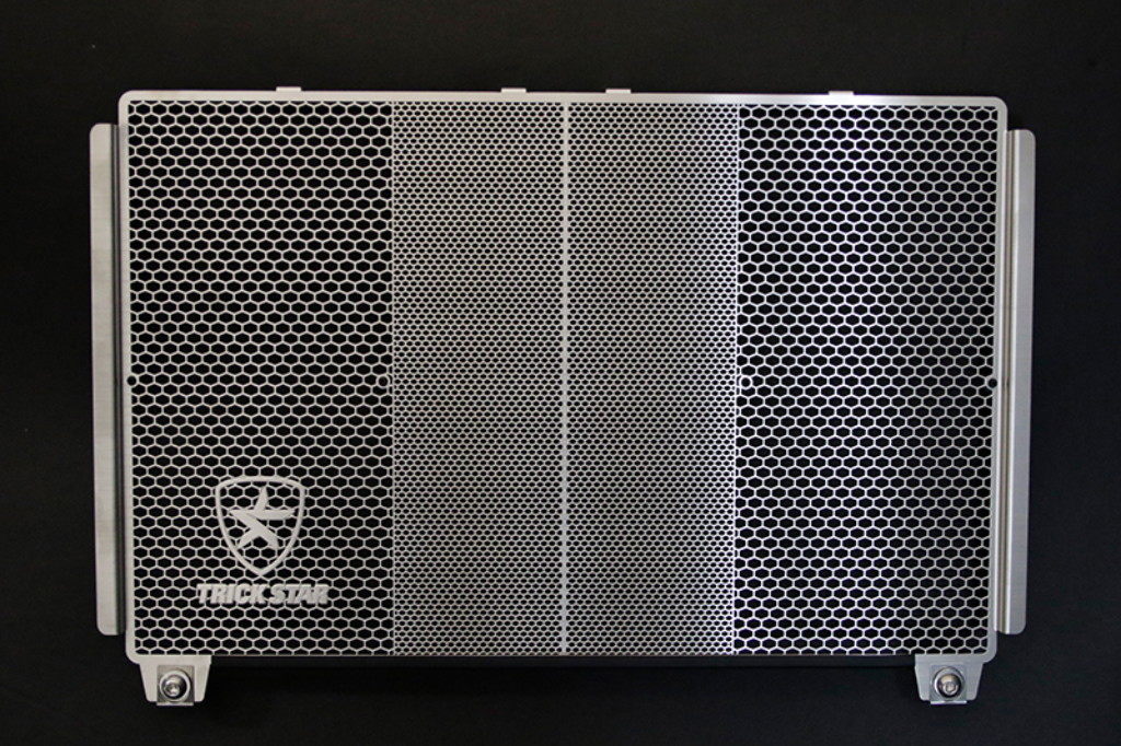 R&G アールアンドジー ラジエターガード【Radiator Guards】■ HYPERSTRADA HyperStrada Hypermotard821 Hypermotard939