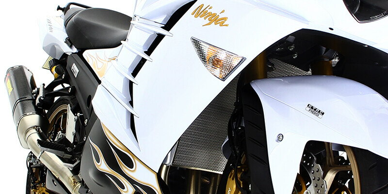 NGC ���̥������� �饸�������� �����˥��� �ץ��ƥ�����󥹥��꡼�� ���������� ZX14R KAWASAKI ���掠�� �饸�����������������ɡ������륯���顼���������� ��Ѵ�Ϣ ���󥸥�