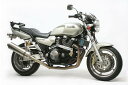 ACTIVE アクティブ サブフレーム バフ XJR1200 XJR1300 YAMAHA ヤマハ フレーム