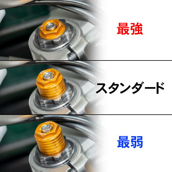 ZETA RACING ジータ レーシング フロントフォークトップキャップ イニシャルアジャ...