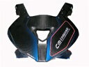SPEED CARBON スピードカーボン アッパーカウル RACING S1000RR BMW アッパーカウル・フロントカウル カウル関連 外装