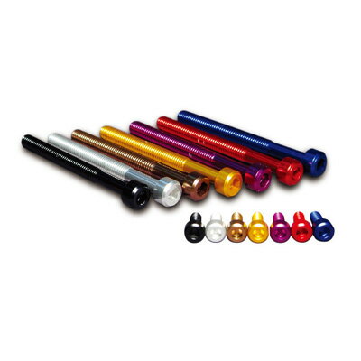 JPモトマート(デュラボルト) JP MotoMart(DURA-BOLT) その他外装関連パーツ エンジンカバーボルトキット 20本セット カラー：ブラック ビラーゴ250