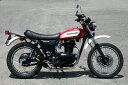 RPM アールピーエム 250Singleフルエキゾーストマフラー 250TR KAWASAKI カワサキ