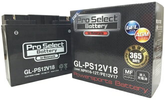 プロセレクトバッテリーオートバイ用12Vバッテリー