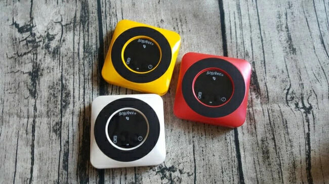 GOGOBEE ���������ӡ� ����ƥꥸ����ȥʥӥ�������� �ʥ� �Żҵ�����