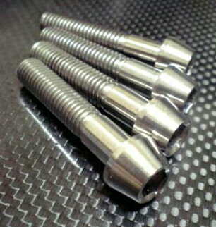 TITANIUM64 チタニウムロクジュウヨン フロントアクスルピンチボルト RS125 NX4 HONDA ホンダ 汎用ボルト ネジ