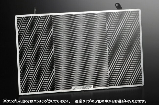 ETCHING FACTORY エッチングファクトリー 748/916/996用 ラジエターガード 748 916 996 DUCATI ドゥカ..