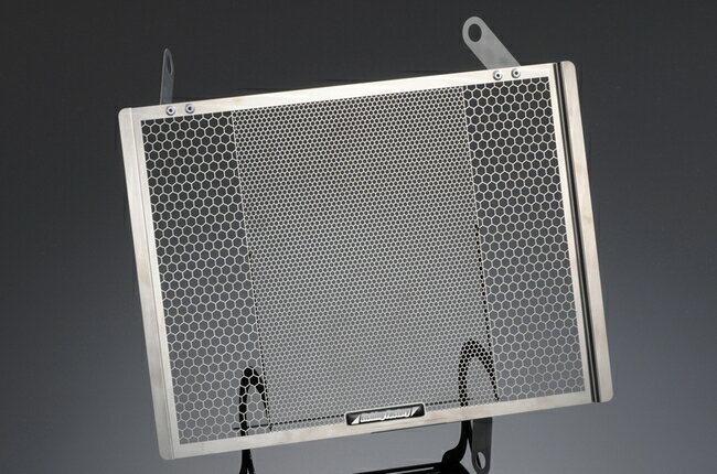 ETCHING FACTORY エッチングファクトリー Streetfighter用 ラジエターガード Upper STREETFIGHTER [ストリートファイター] DUCATI ドゥカティ ラジエーターコアガード・オイルクーラーコアガード 冷却関連 エンジン