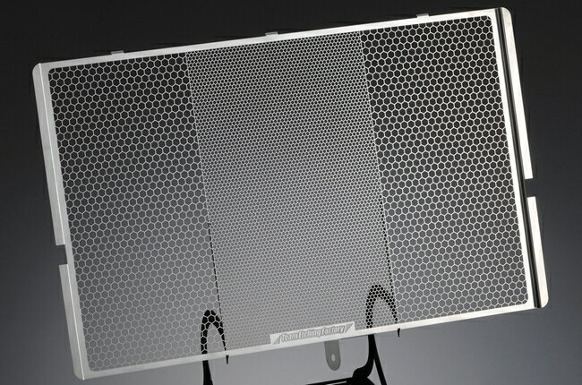 ETCHING FACTORY エッチングファクトリー CBR600RR(05-06)用 ラジエターガード CBR600RR HONDA ホンダ ..