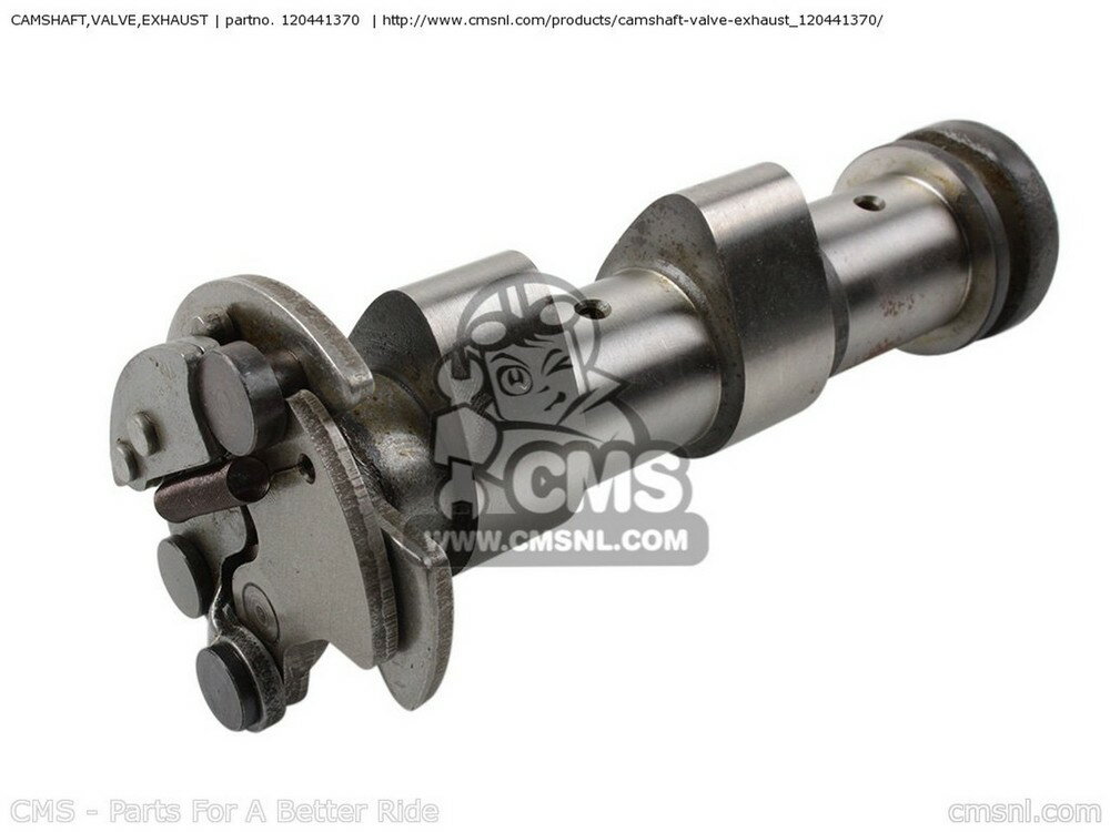 CMS २ CAMSHAFT-VALVEEXHAUS KL650A17 KLR650 2003 USA CALIFORNIA CANADA KL650A18 KLR650 2004 USA CALIFORNIA CANADA KL650A19 KLR650 2005 USA CALIFORNIA CANADA KL650A6F KLR650 2006 USA CALIFORNIA CANADA KL650A7F KLR650 2007 USA CALIFORNIA CANADA