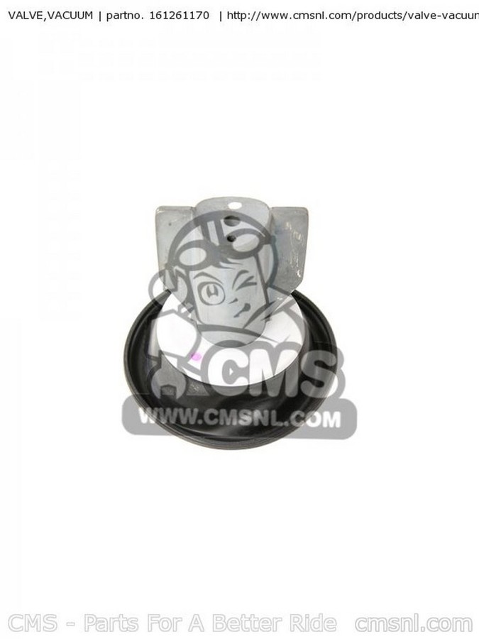 CMS シーエムエス VALVE，VACUUM VN800A10 VULCAN 800 2004 USA CALIFORNIA VN800A9 2003 VN800E5 DRIFTER 2005 KAWASAKI カワサキ その他吸気系オプション・補修部品 吸気関連 エンジン