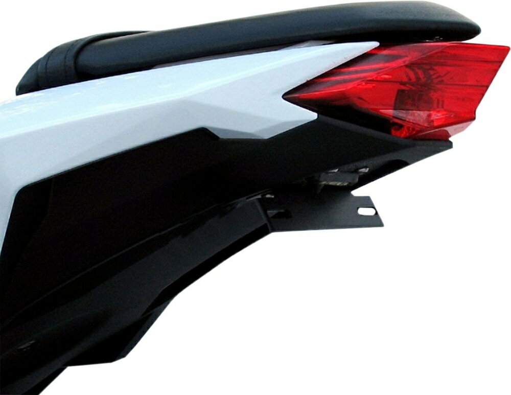 TARGA ターガ TAILKIT X [2030-1128] EX300R Ninja 300 2017 KAWASAKI カワサキ シートカウル・テールカウル カウル関連 外装