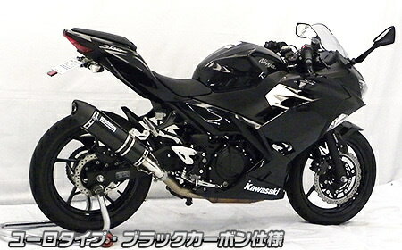 WirusWin ウイルズウィン スリップオンマフラー ユーロタイプ 仕様：ブラックカーボン ニンジャ400