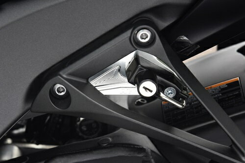 AGRAS 饹 إåȥۥ ZX-10R KAWASAKI 掠 إåȥå إå ߥơ顼֥...