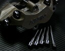 TITANIUM64 チタニウムロクジュウヨン ブレーキパッドピン・キャリパーブリッジボルトセット NISSIN 4/6POT-1ピンタイプ キャリパーボルト・...