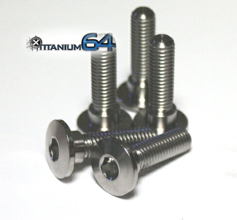 TITANIUM64 チタニウムロクジュウヨン フロントローターボルト Ninja250 KAWASAKI カワサキ ローターボルト ブレーキ