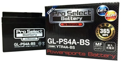 プロセレクトバッテリーオートバイ用12Vバッテリー