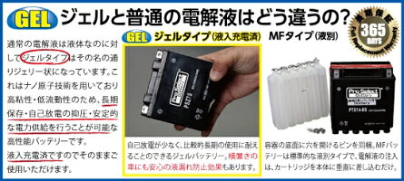 プロセレクトバッテリーオートバイ用12VバッテリーNSR80(HC06)、CB125JXニュースメイトV50B(4AU1)、V50N(3AG)、メイトV50(3AC、3AE、3AG)、メイトV80D、V80N