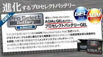 プロセレクトバッテリーオートバイ用バッテリー