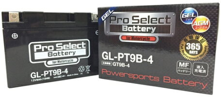 プロセレクトバッテリーオートバイ用12Vバッテリー