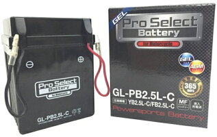 プロセレクトバッテリーオートバイ用12VバッテリーNSR80(HC06)、CB125JXニュースメイトV50B(4AU1)、V50N(3AG)、メイトV50(3AC、3AE、3AG)、メイトV80D、V80N