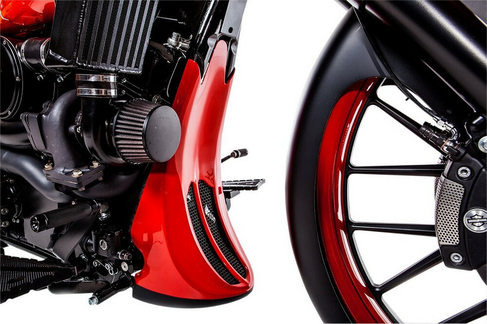 TRASK トラスク フレームカバー RAKEDFL 2009-2013用 【COVER FRAME RAKED 09-13FL [0504-0257]】 Electra Glide Classic EFI - FLHTC 2009 2013 Standard FLHT Ultra FLHTCU Limited FLHTK 2010 Road FLTR Custom FLTRX FLTRU 2011 King FLHR FLHRC Street FLHX フレーム