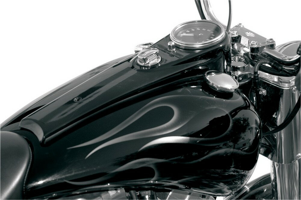 RUSS WERNIMONT DESIGNS ロスワーニモントデザイン ロープロファイルダッシュ RWD TNK 【DASH LOW PROFILE [2202-0116]】 HARLEY-DAVIDSON ハーレーダビッドソン その他汎用外装部品・ドレスアップパーツ 外装