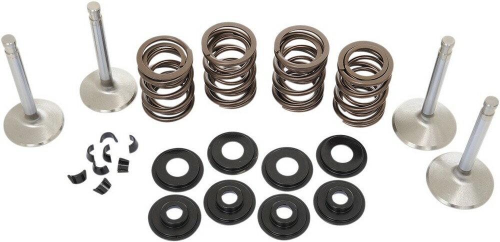 MANLEY マンリー バルブスプリングキット80-84 BT 【VALVE SPRING KIT 80-84 [0926-0404]】 HARLEY-DAVIDSON ハーレーダビッドソン バルブスプリング エンジンパーツ エンジン