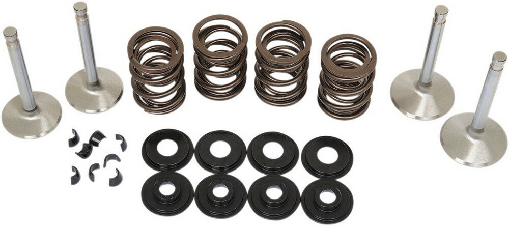 MANLEY マンリー バルブスプリングキット66-79 BT 【VALVE SPRING KIT 66-79 [DS-199064]】 1200 Electra Glide Classic - FLH 1977 1979 Fat Bob FXEF Low Rider FXS Super FX 1971 FXE 1973 80 1978 FL 1966 FLHS HARLEY-DAVIDSON ハーレーダビッドソン バルブスプリング