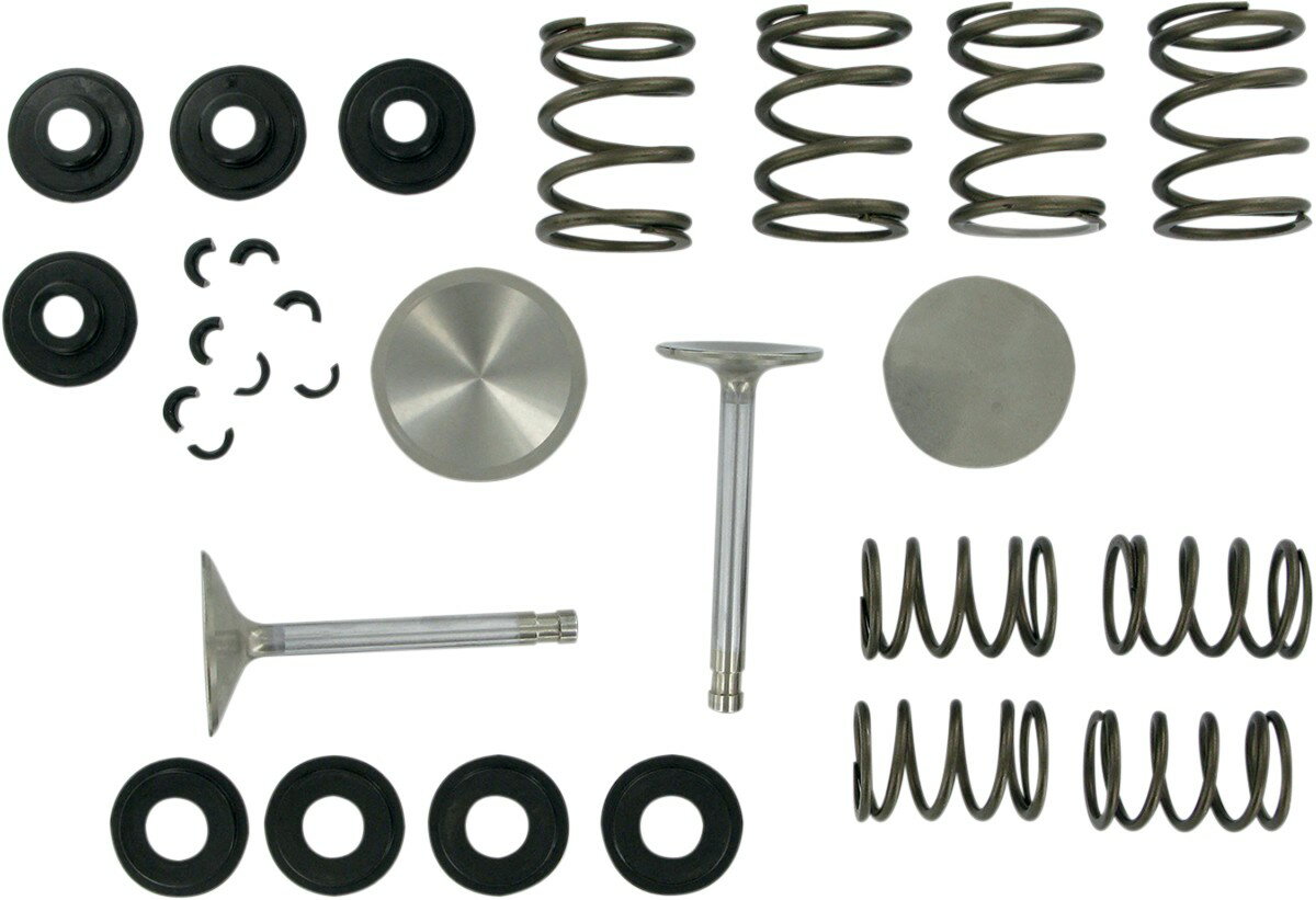 MANLEY マンリー バルブスプリングキット99-04 TC 【VALVE SPRING KIT 99-04 [0926-0406]】 HARLEY-DAVIDSON ハーレーダビッドソン バルブスプリング エンジンパーツ エンジン