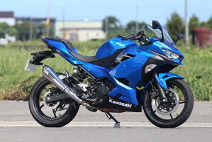 r’sgearアールズギアスリップオンマフラーワイバンリアルスペックスリップオンTypeRサイレンサータイプ:チタンポリッシュ18-Ninja250(2BK-EX250P)