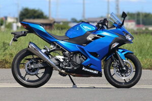 r’sgearアールズギアスリップオンマフラーワイバンリアルスペックスリップオンTypeRサイレンサータイプ:チタンポリッシュ18-Ninja250(2BK-EX250P)