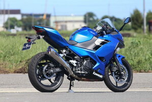 r’sgearアールズギアスリップオンマフラーワイバンリアルスペックスリップオンTypeRサイレンサータイプ:チタンポリッシュ18-Ninja250(2BK-EX250P)