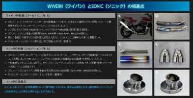 r’sgearアールズギアスリップオンマフラーワイバンリアルスペックスリップオンTypeRサイレンサータイプ:チタンポリッシュ18-Ninja250(2BK-EX250P)