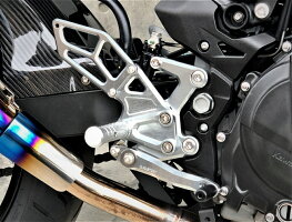 K-FACTORYKファクトリーケイファクトリーバックステップライディングステップカラー:メタリックシルバーZ250