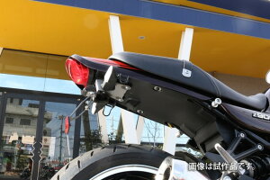 PMCピーエムシーフェンダーレスキットZ900RS