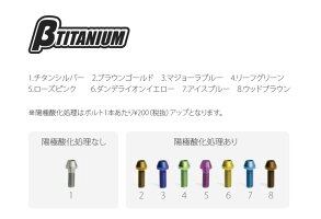 βTITANIUMベータチタニウムβチタニウムブレーキバンジョーボルトカラー:チタンシルバー(陽極酸化処理無し)サイズ:1.25タイプ:シングル