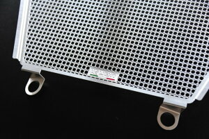 deLIGHTディライトラジエターコアガードSuperbikePANIGALEV4SuperbikePANIGALEV4RSuperbikePANIGALEV4S