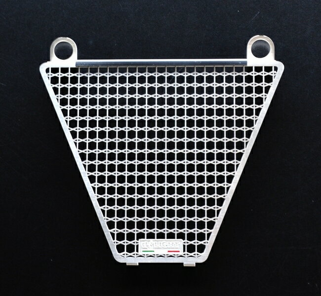 de LIGHT ディライト オイルクーラーコアガード PANIGALE V4 R S DUCATI ドゥカティ ラジエーターコアガード・オイルクーラーコアガード 冷却関連 エンジン