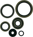 MOOSE RACING ムースレーシング ガスケット／オイルシール【GASKETS AND OIL SEALS [0934-0167]】 250 EXC 250 MXC 2000 - 2001 250 SX 2000 - 2002 250 SXS 2001 KTM KTM KTM KTM KTM KTM KTM KTM